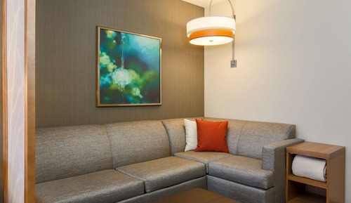 Room, 1 King Bed with Sofa bed