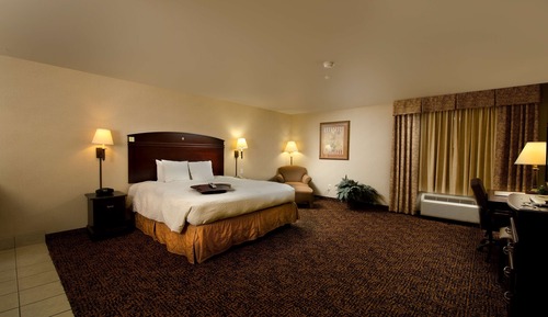 Studio, 1 King Bed, Accessible (Roll-In Shower)