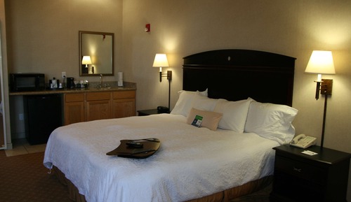 Studio, 1 King Bed, Accessible, Bathtub