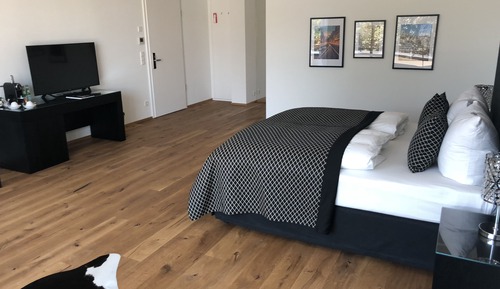 Comfort Suite (Suite No. 9)