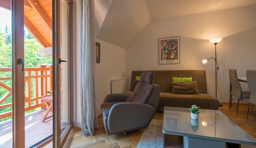 Deluxe Apartment, 1 Bedroom, Mountain View