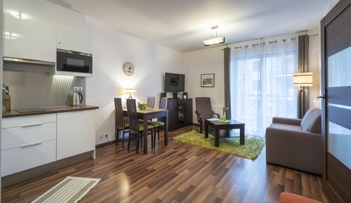 Comfort Apartment, 1 Double Bed with Sofa bed