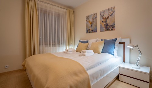Superior Apartment