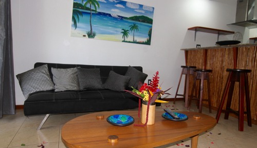 Comfort Studio, Kitchen, Garden View