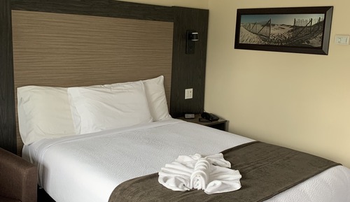 Room, 1 Queen Bed
