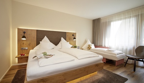 Comfort Triple Room, 1 Queen Bed with Sofa bed