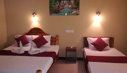 Basic Double Room