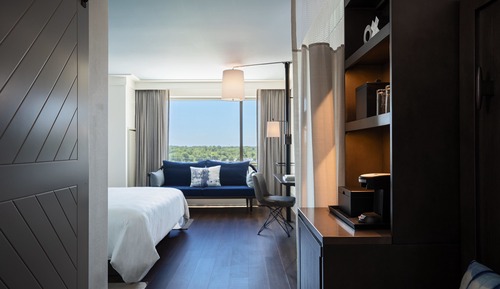 Room, 1 King Bed (View)