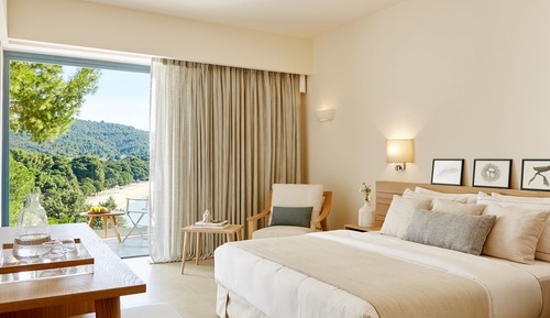 Deluxe Double Room (Elivi  Xenia Hotel)