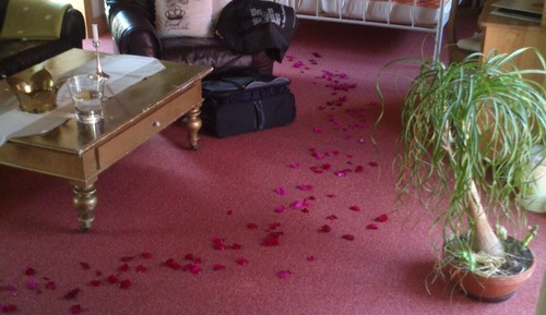 Double Room Single Use, 1 Bedroom, Kitchen, City View (Kat. 3)