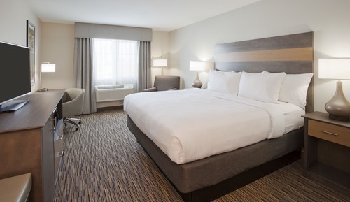 Suite, 1 King Bed