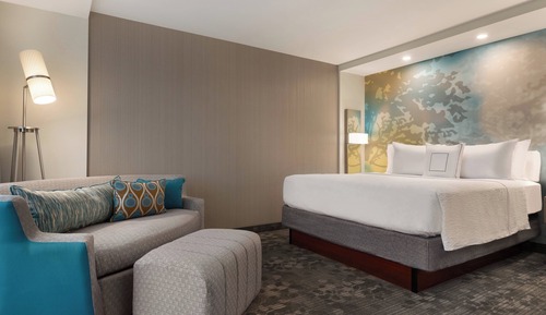 Room, 1 King Bed with Sofa bed (Hearing Accessible)