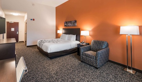 Standard Room, 1 King Bed, Non Smoking
