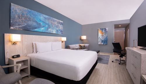 Room, 1 King Bed with Sofa bed