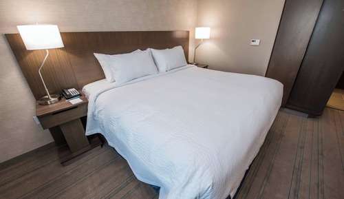 Room, 1 King Bed, Non Smoking (Mobility Accessible, Roll-in Shower)
