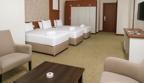 Basic Triple Room