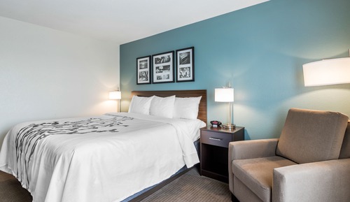 Standard Room, 1 King Bed, Non Smoking