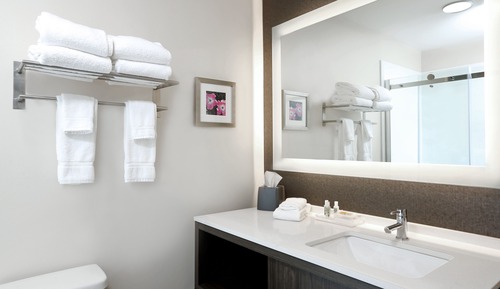 Suite, 1 King Bed with Sofa bed