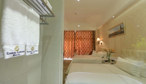Deluxe Business Twin Room