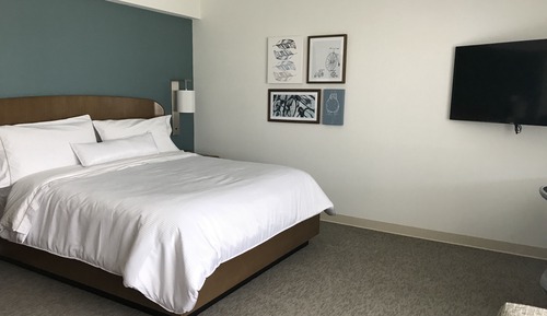Room, 1 King Bed, Non Smoking