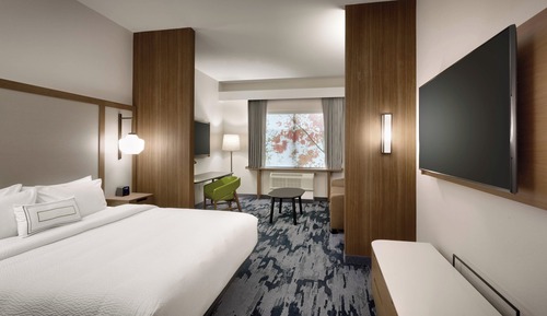 Suite, 1 King Bed with Sofa bed