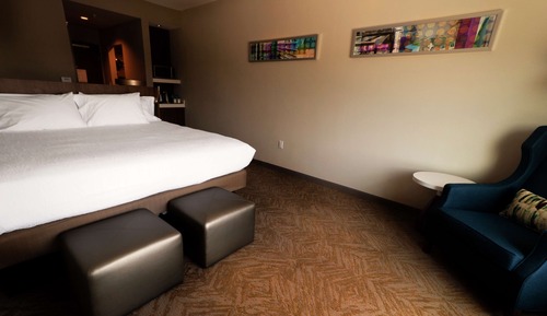 Room, 1 King Bed with Sofa bed, Accessible (Roll-in Shower)