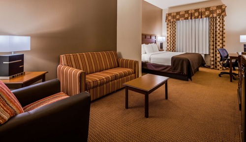 Suite, 1 King Bed, Non Smoking, Refrigerator & Microwave (with Sofabed)