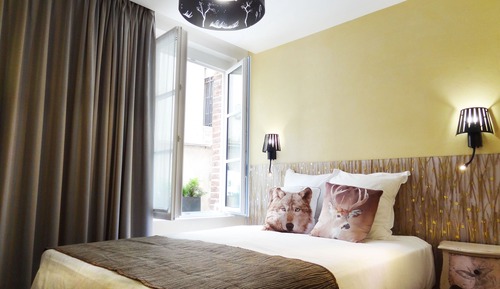 Single Room, 1 Single Bed