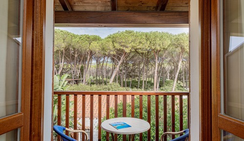 Double or Twin Room, Park View