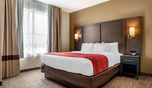 Suite, 1 King Bed with Sofa bed, Accessible, Non Smoking