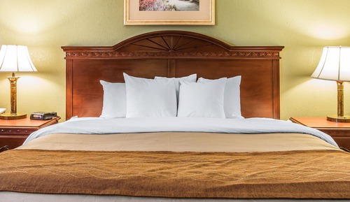 Standard Room, 1 King Bed with Sofa bed