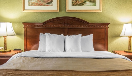 Standard Room, 1 King Bed, Non Smoking