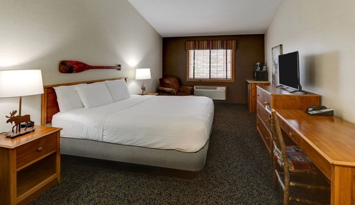 Standard Room, 1 King Bed, Non Smoking
