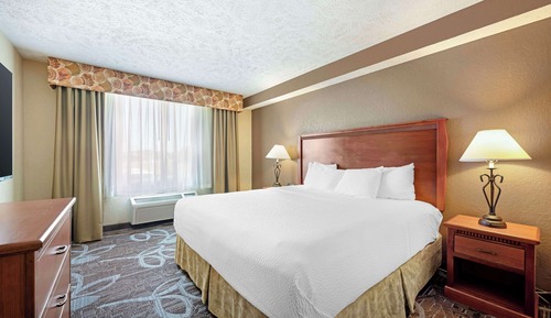 Suite, 1 King Bed, Non Smoking, Refrigerator & Microwave (with Sofabed)