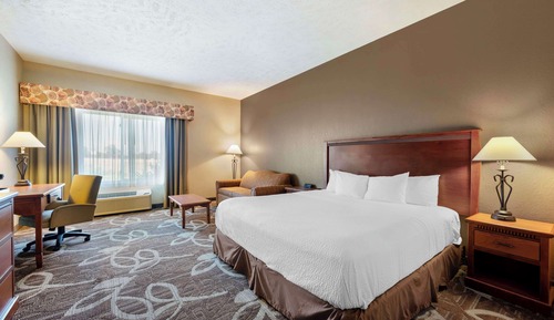 Standard Room, 1 King Bed, Accessible, Refrigerator & Microwave (with Sofabed)