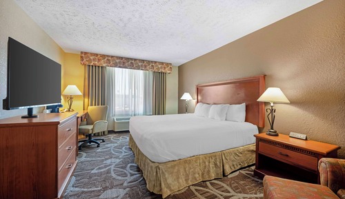 Standard Room, 1 King Bed, Non Smoking, Refrigerator & Microwave