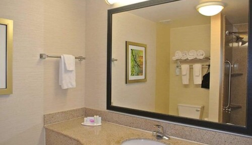 Executive Suite, 1 King Bed with Sofa bed (Mobility/Hearing Accessible, Tub)