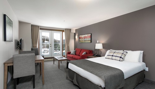 Standard Room, 1 Queen Bed with Sofa bed