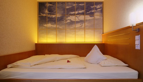 Superior Single Room