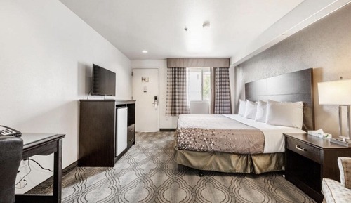 Room, 1 King Bed