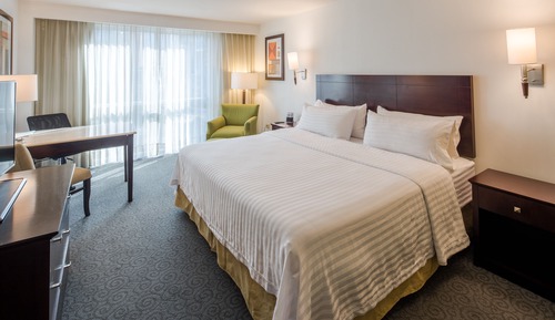 Standard Room, 1 King Bed, Accessible