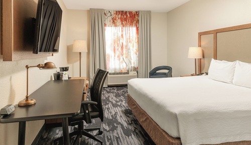 Room, 1 King Bed