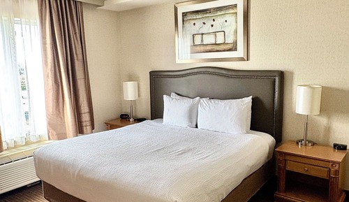 Business Suite, 1 King Bed with Sofa bed, Non Smoking