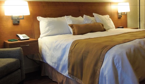 Executive Suite, 1 Bedroom