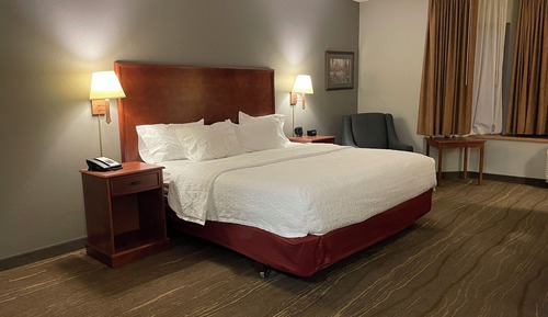 Room, 1 King Bed, Hearing Accessible, Lake View (Mobility,Tub w/Grab Bars)
