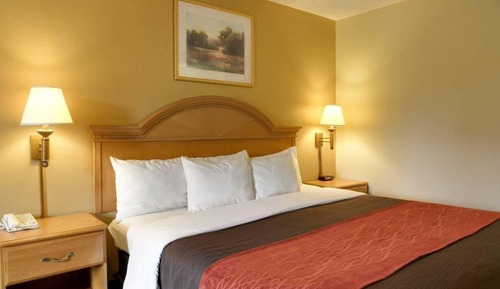Standard Room, 1 King Bed, Non Smoking