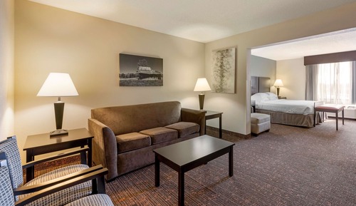 Suite, 1 King Bed, Non Smoking, Refrigerator & Microwave (Larger Room;with Sofabed)