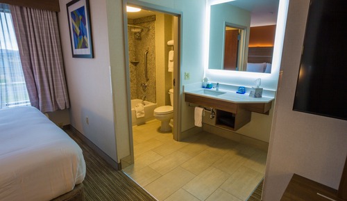 Suite, 1 King Bed