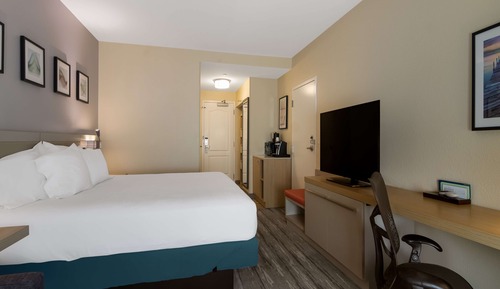 Room, 1 King Bed with Sofa bed, Non Smoking