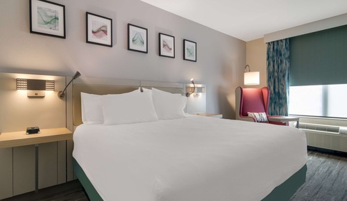 Room, 1 King Bed (Walk In Shower)